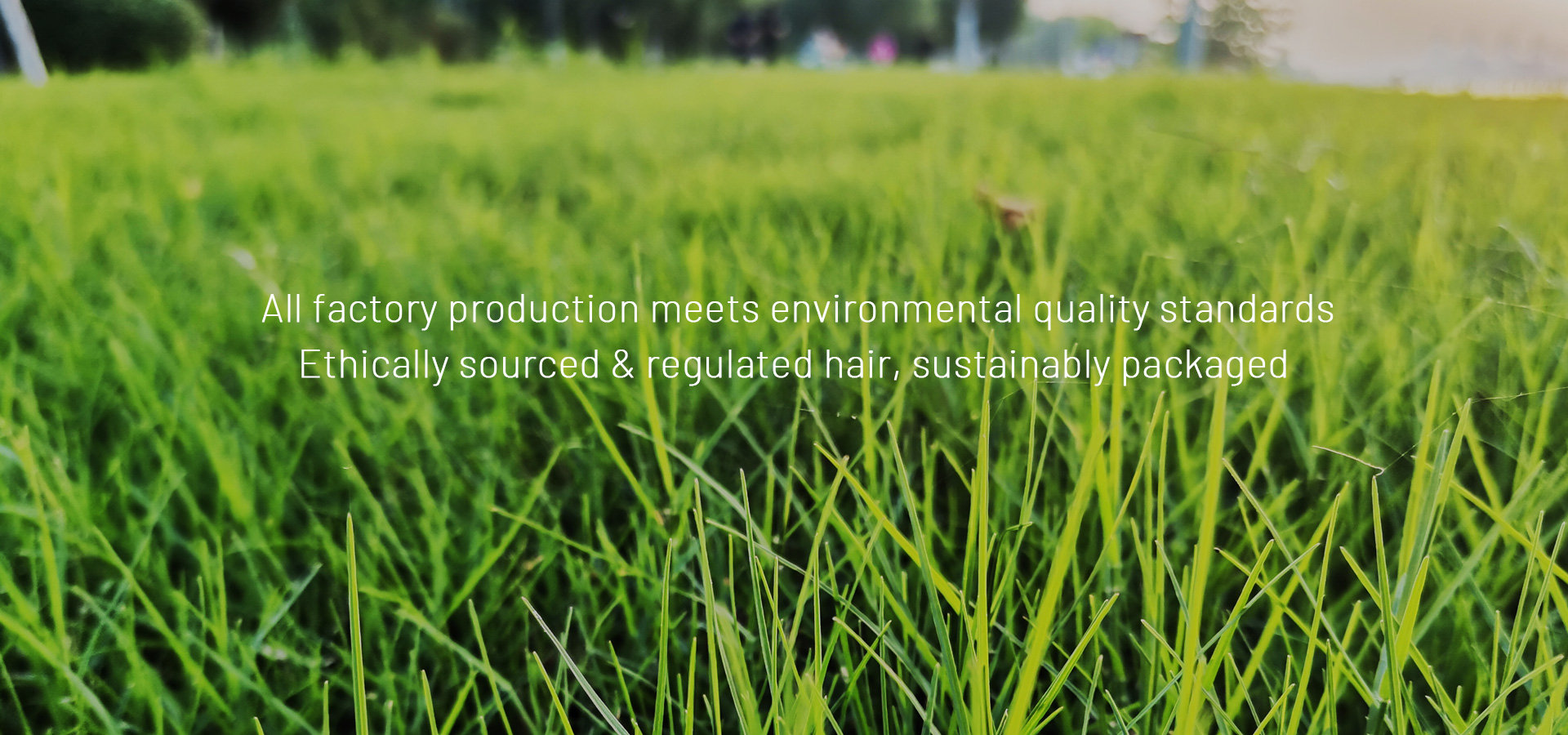 private label extensions